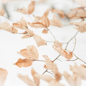 Lezing “leven met verlies”